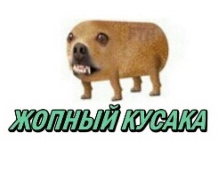 Жопный кусака Мем