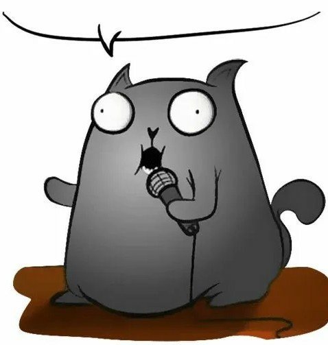 Стенд ап кот