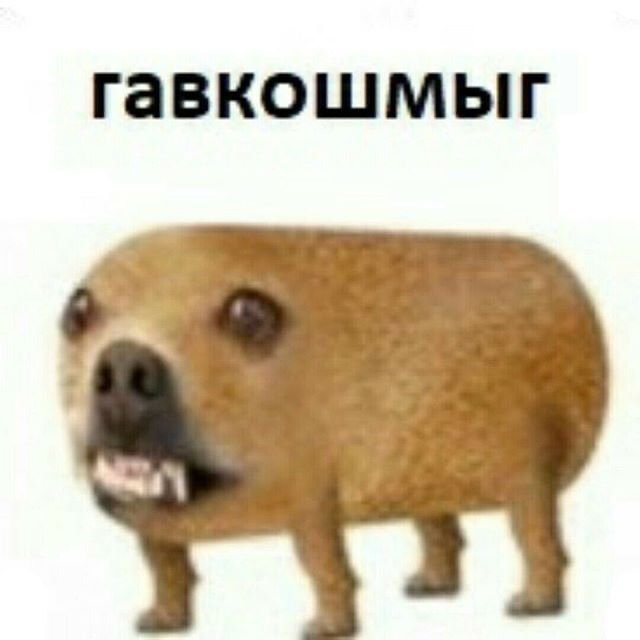 ЧИЛИПИЗДРИК И гавкошмыг