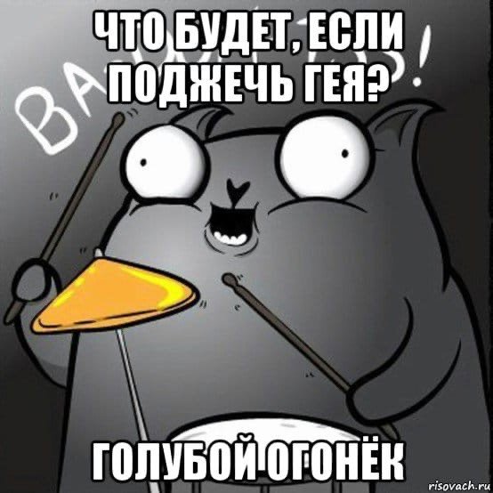 Стендап кот