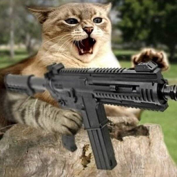 Кот стреляет из автомата