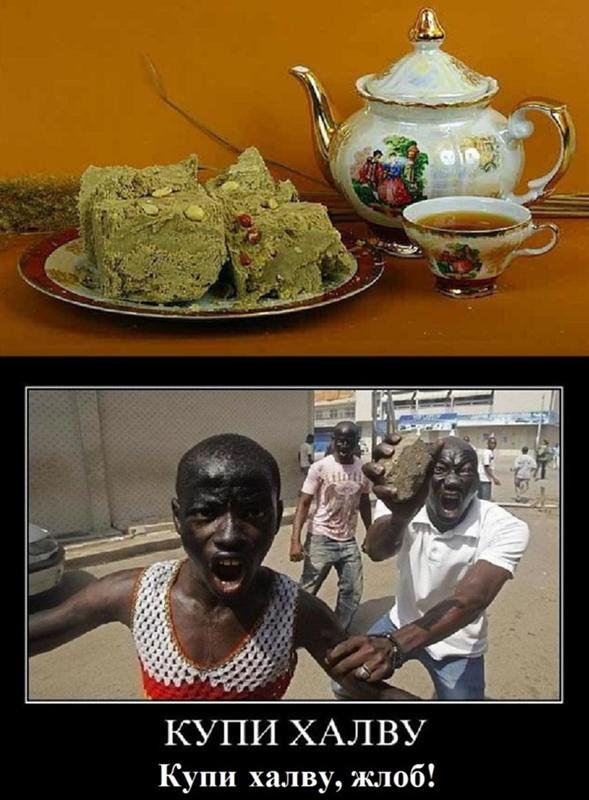 Купи халву Мем