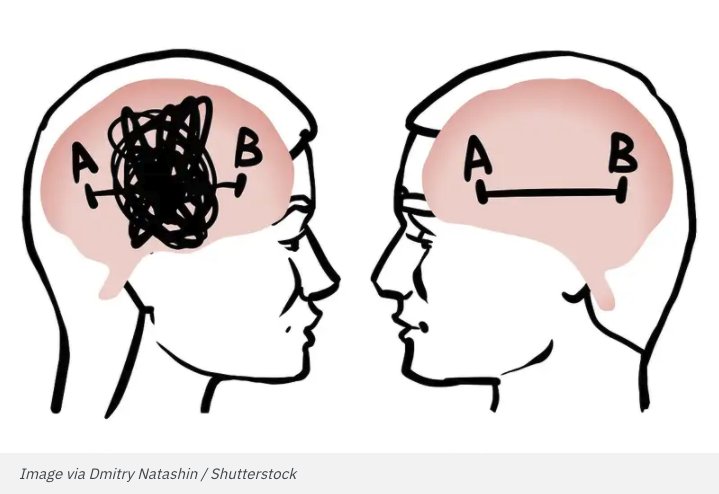 Мозг мужчины