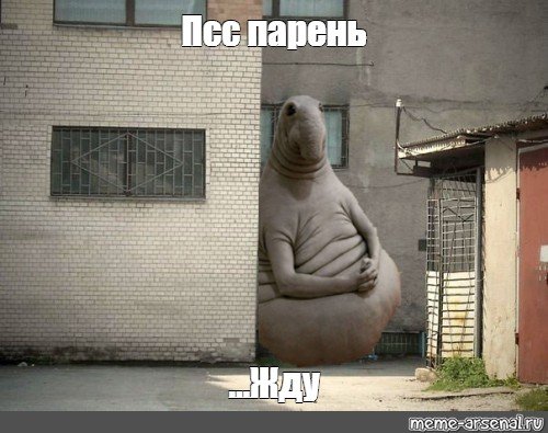 Пссс парень