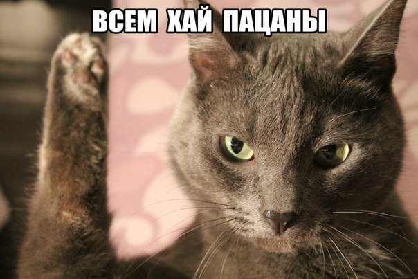 Приветствие прикол