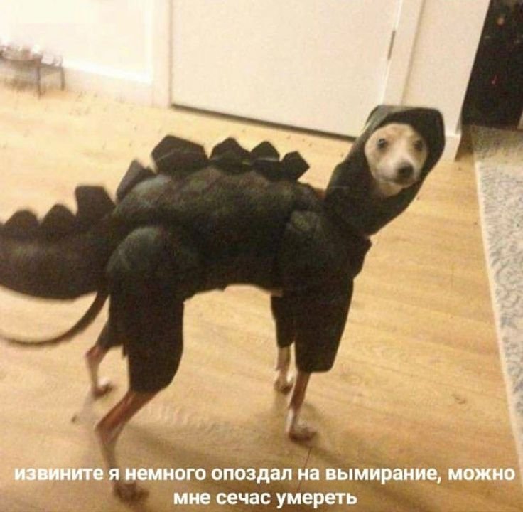Костюм динозавра прикол