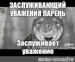 Мемы с волками и Цитатами