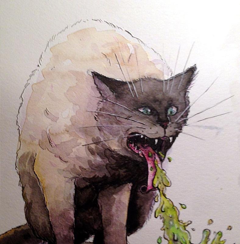 Кота тошнит