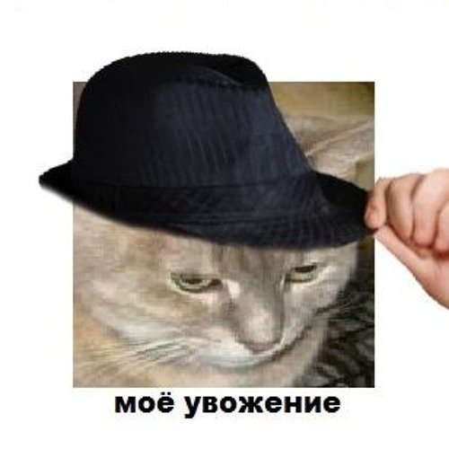 Моё увожение