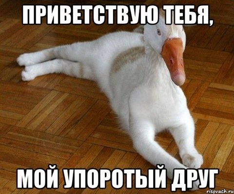 Оригинальное Приветствие