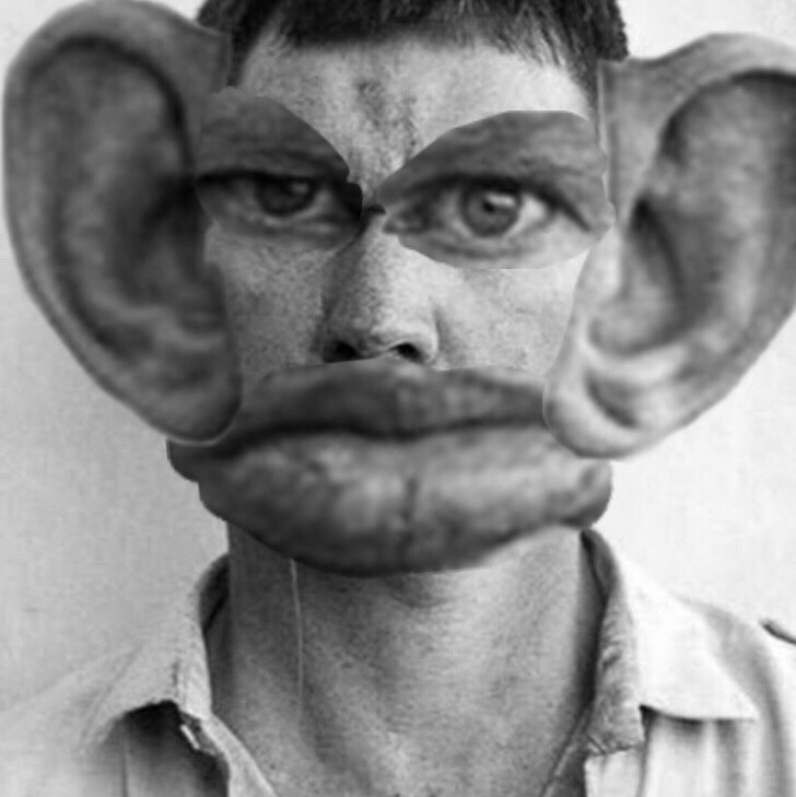 Жмышенко Валерий Альбертович ФОТОЛУПЫ