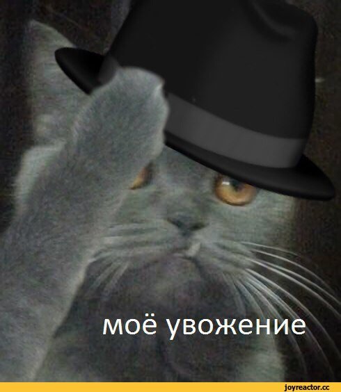 Моё увожение