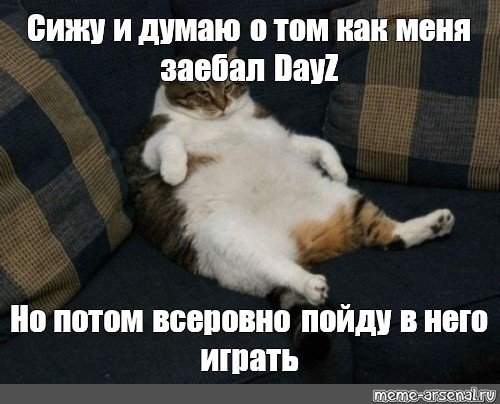 Жирный кот сидит Мем