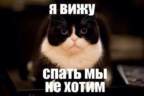 Че не спим картинки