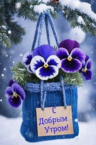 Парень пишет девушке спокойной ночи