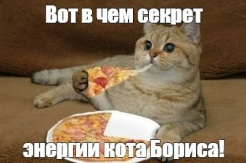 Энергия кота Бориса