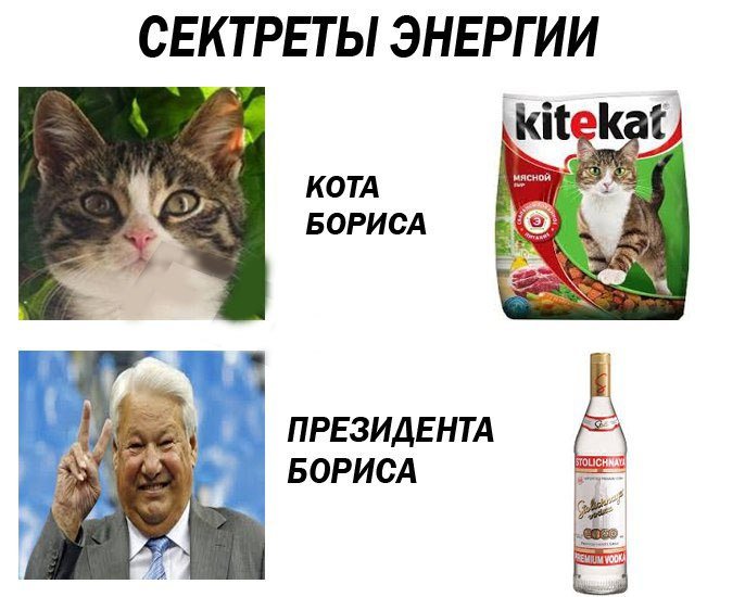 Энергия кота бориса