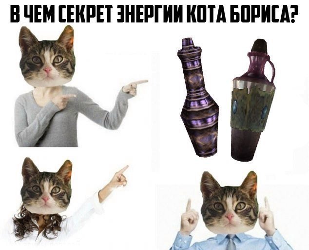 Каджиты и скума