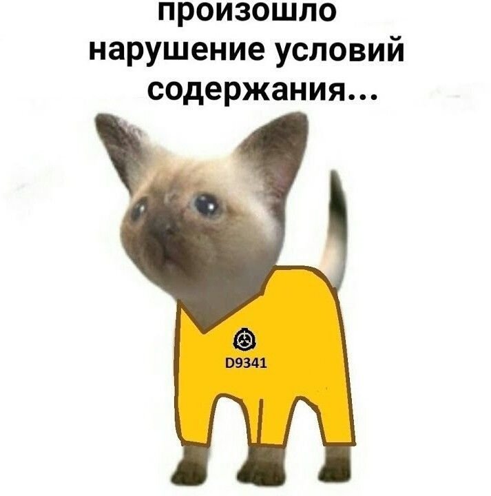 Нарушение условий содержания SCP