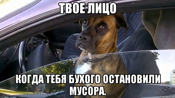 Мемы про водителей