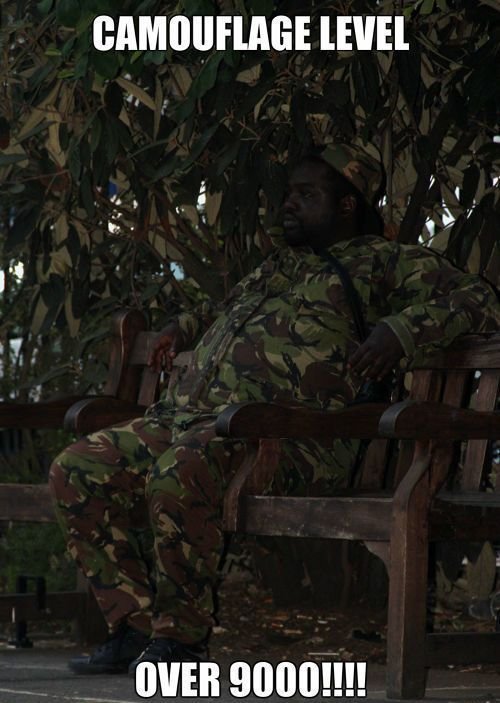 Мемы про камуфляж