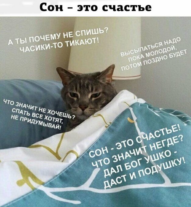 Кот хочет спать