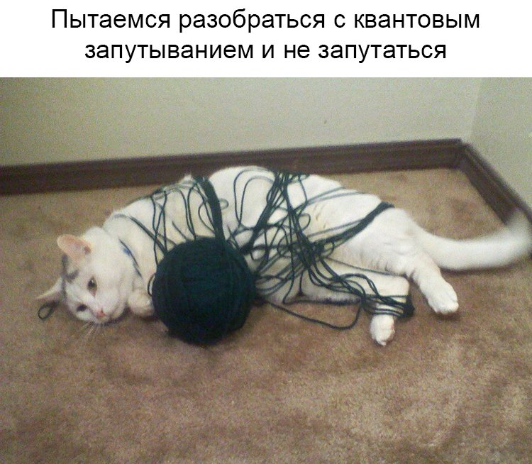 Кот с нитками