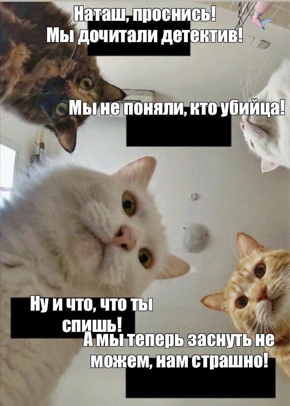 Можно ненадо Мем оригинал