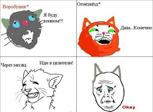 Мемы про котов воителей