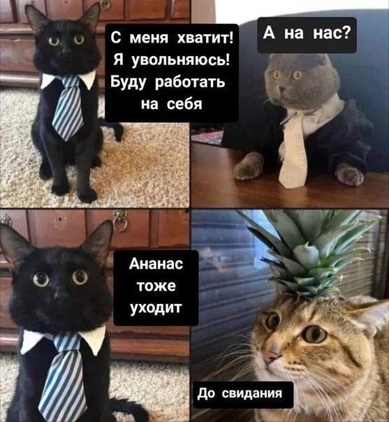 Ананас уходит со мной