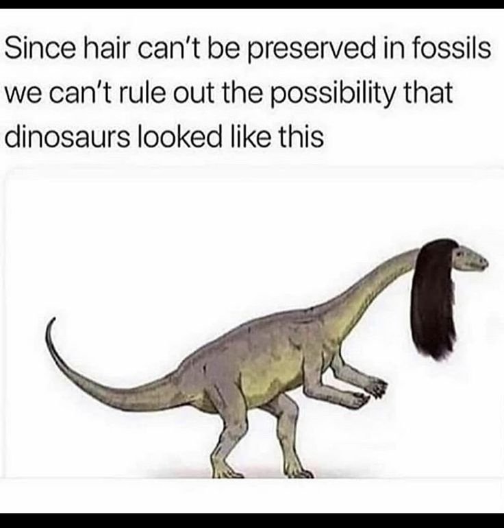 Как выглядят динозавры