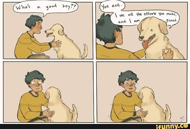 Хороший мальчик собака Мем