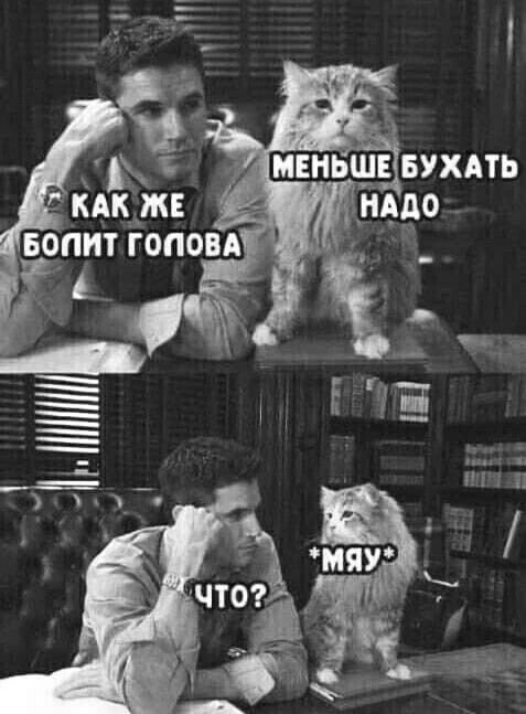 Надо бухать