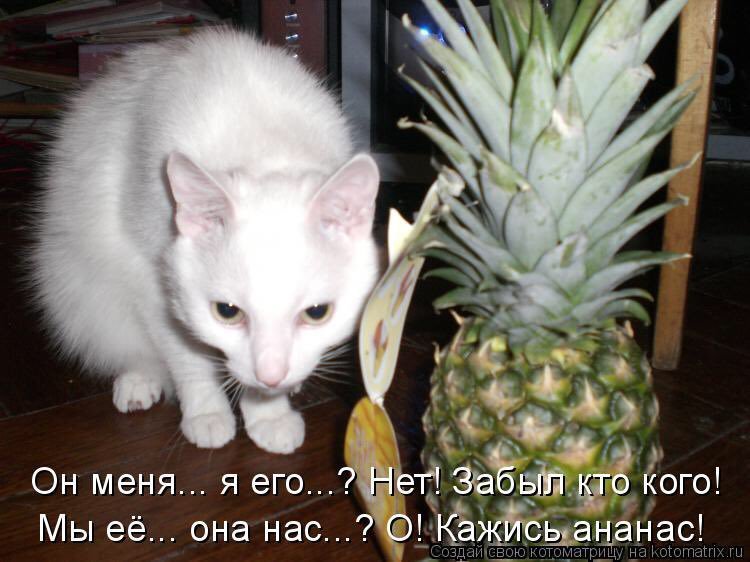 Смешной ананас