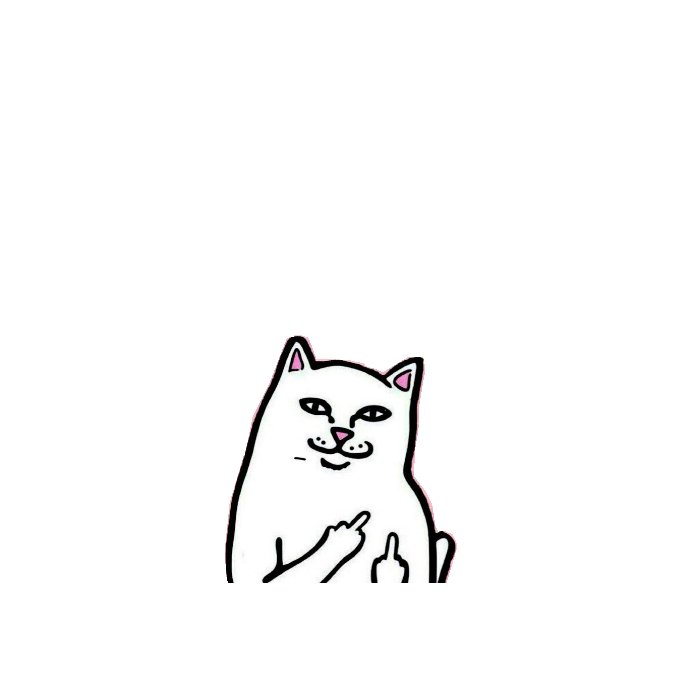 Кот с факом наклейка