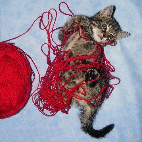 Котенок и клубок ниток