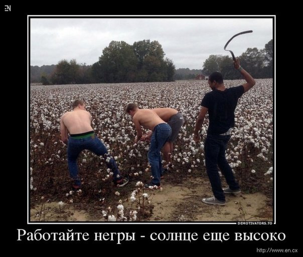 Работать негры солнце еще высоко