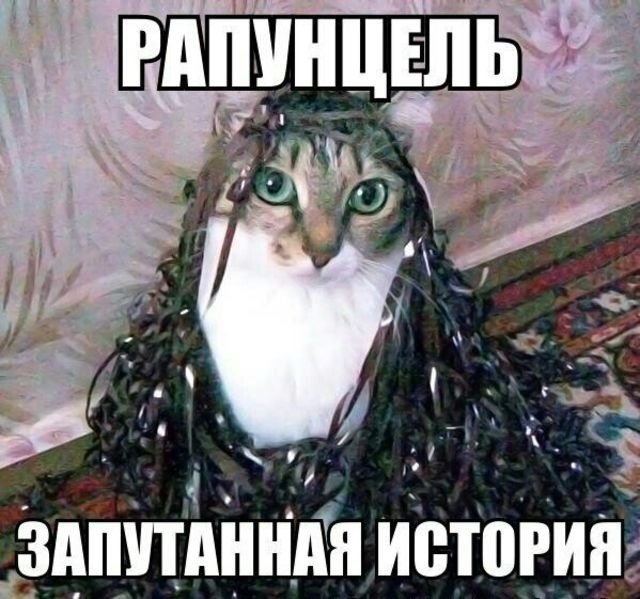 Кот запутался в нитках