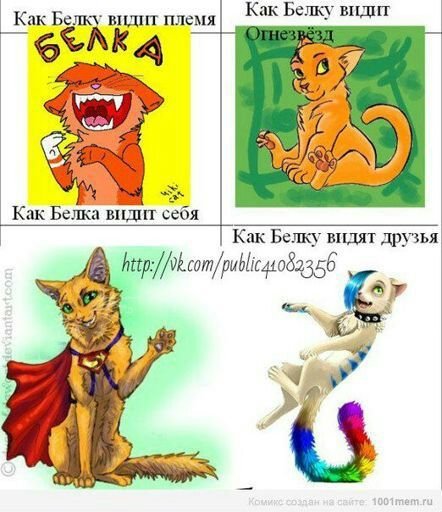 Коты Воители мемы