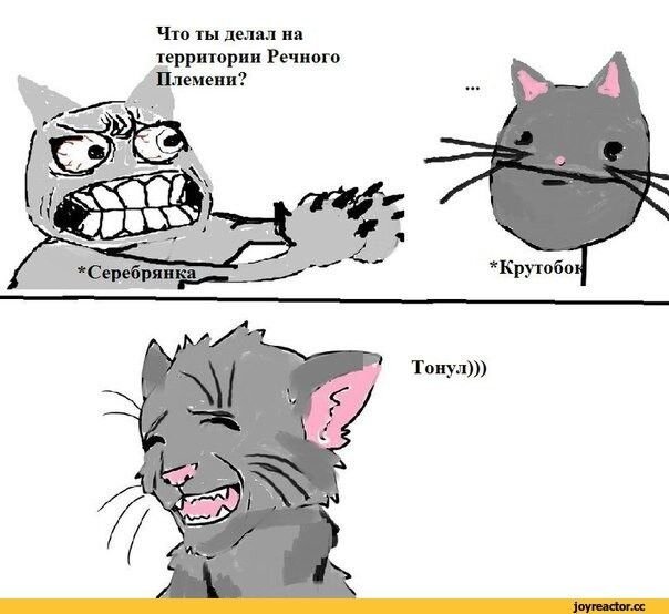 Коты Воители комиксы смешные