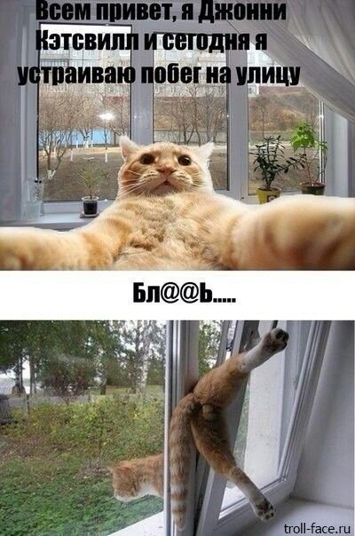 Приключения Джонни Кэтсвилла