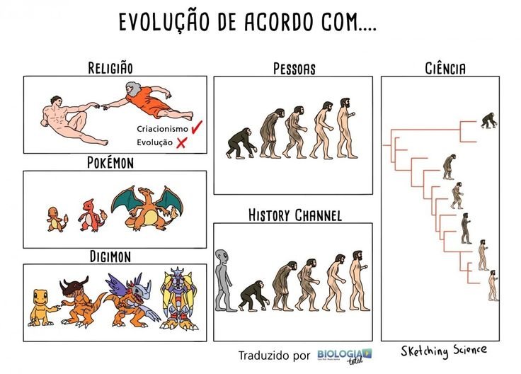 Мемы про эволюцию