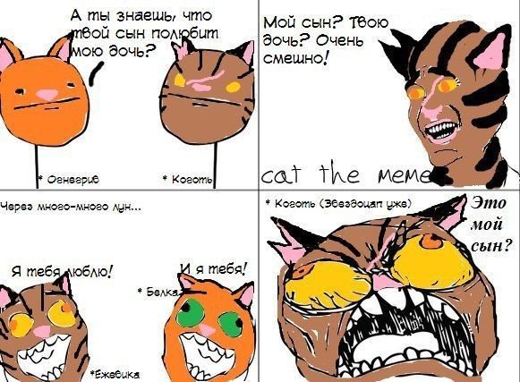 Коты Воители приколы