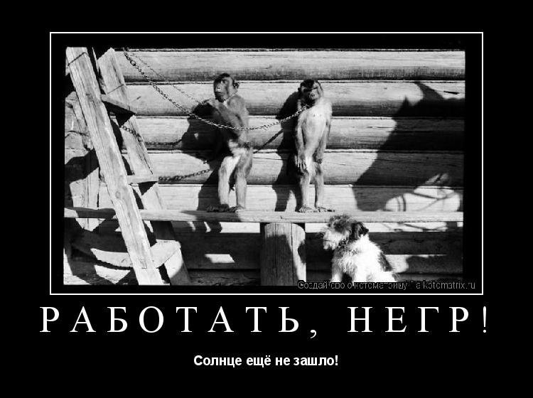 Солнце светит негры пашут вот такая доля наша