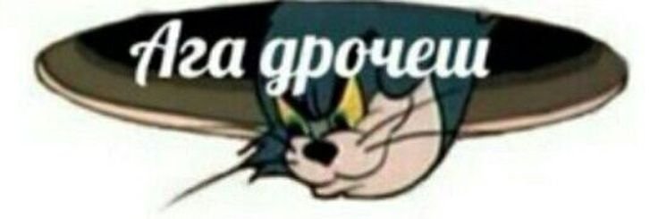 Кот том Мем