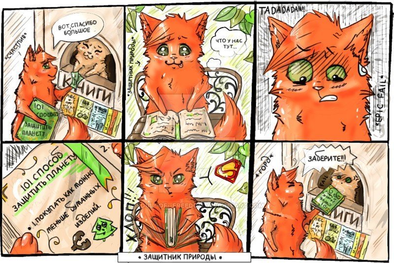 Коты Воители приколы