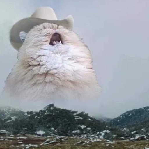 Кричащий кот в шляпе