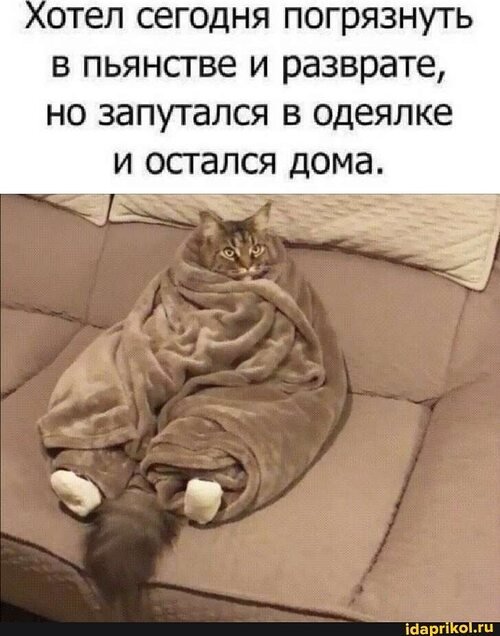 Запутался в одеяле и остался дома