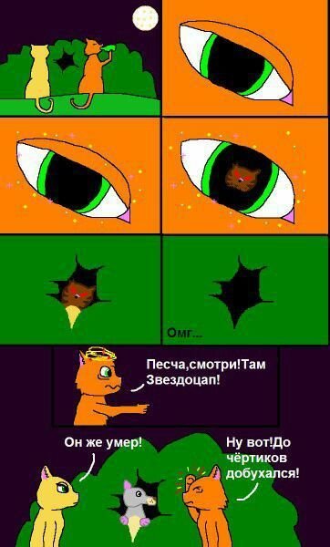 Коты Воители приколы