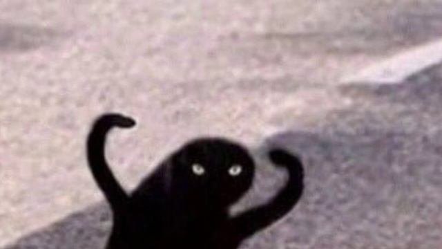 Мем с котом ЪУЪ